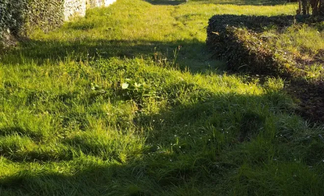 Entretiens de parcs et jardins à barbezieux Saint-Hilaire, Barbezieux-Saint-Hilaire, PASSION FLEUR ET GAZON