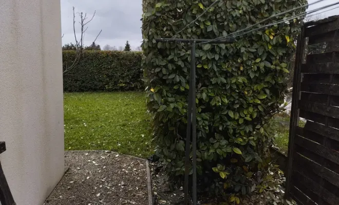 Taille et rabattage d'une haie sur Jarnac, Barbezieux-Saint-Hilaire, PASSION FLEUR ET GAZON