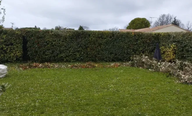 Taille et rabattage d'une haie sur Jarnac, Barbezieux-Saint-Hilaire, PASSION FLEUR ET GAZON