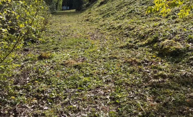 Débroussaillage d'un talus sur Angoulême, Barbezieux-Saint-Hilaire, PASSION FLEUR ET GAZON