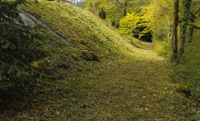 Débroussaillage d'un talus sur Angoulême, Barbezieux-Saint-Hilaire, PASSION FLEUR ET GAZON