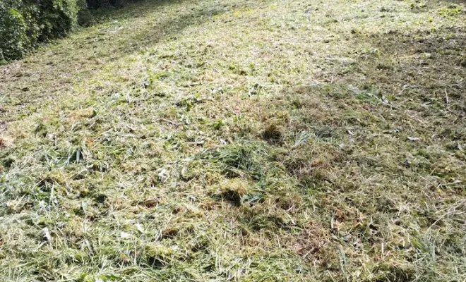 Débroussaillage d'un talus sur Angoulême, Barbezieux-Saint-Hilaire, PASSION FLEUR ET GAZON