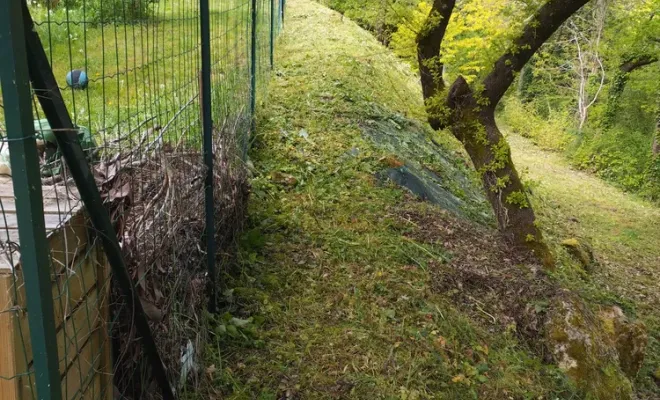 Débroussaillage d'un talus sur Angoulême, Barbezieux-Saint-Hilaire, PASSION FLEUR ET GAZON