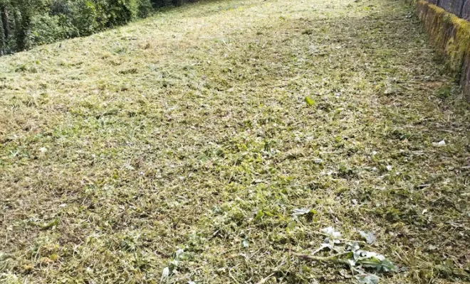 Débroussaillage d'un talus sur Angoulême, Barbezieux-Saint-Hilaire, PASSION FLEUR ET GAZON