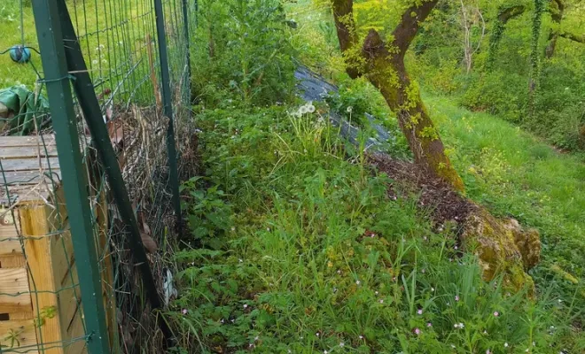 Débroussaillage d'un talus sur Angoulême, Barbezieux-Saint-Hilaire, PASSION FLEUR ET GAZON