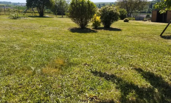 Entretiens régulier de parcs et jardins sur cognac, Barbezieux-Saint-Hilaire, PASSION FLEUR ET GAZON