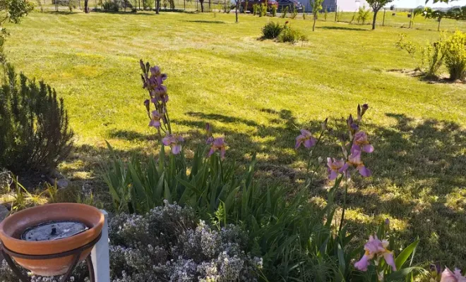 Entretiens régulier de parcs et jardins sur cognac, Barbezieux-Saint-Hilaire, PASSION FLEUR ET GAZON