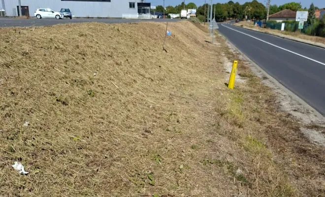 Entretien et nettoyage pour professionnels et municipalité, Barbezieux-Saint-Hilaire, PASSION FLEUR ET GAZON
