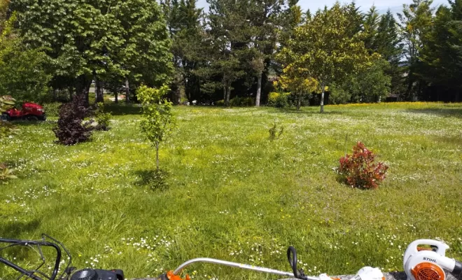 Entretiens de parcs, Barbezieux-Saint-Hilaire, PASSION FLEUR ET GAZON