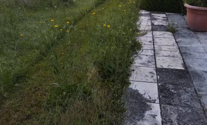 Tonte d'une pelouse , Barbezieux-Saint-Hilaire, PASSION FLEUR ET GAZON