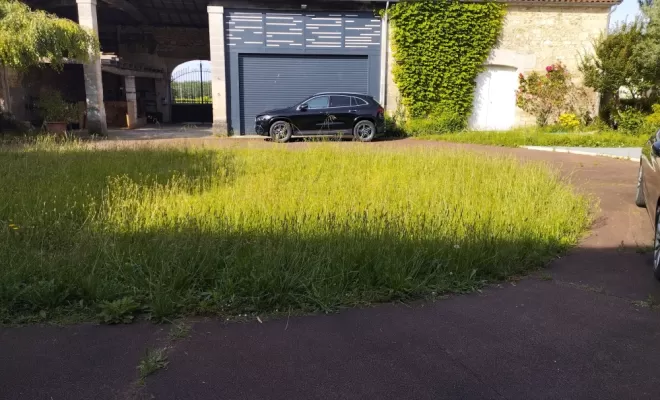 Tonte d'une pelouse , Barbezieux-Saint-Hilaire, PASSION FLEUR ET GAZON