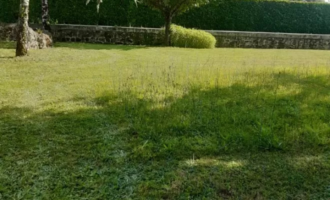Entretiens de parcs, Barbezieux-Saint-Hilaire, PASSION FLEUR ET GAZON
