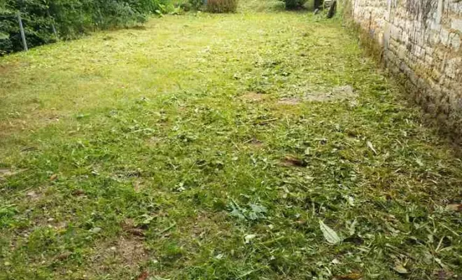 Entretien d'espaces verts, paysagiste, Barbezieux-Saint-Hilaire, PASSION FLEUR ET GAZON