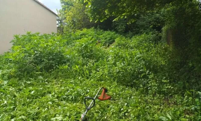 Entretien d'espaces verts, paysagiste, Barbezieux-Saint-Hilaire, PASSION FLEUR ET GAZON