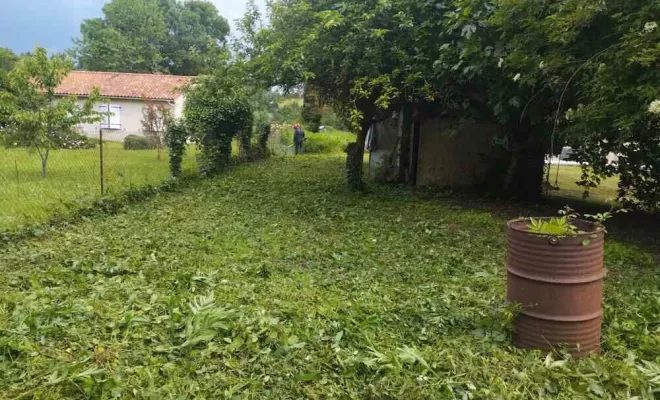 Entretien d'espaces verts, paysagiste, Barbezieux-Saint-Hilaire, PASSION FLEUR ET GAZON