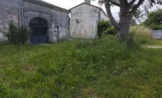 Entretien d'espaces verts, paysagiste, Barbezieux-Saint-Hilaire, PASSION FLEUR ET GAZON
