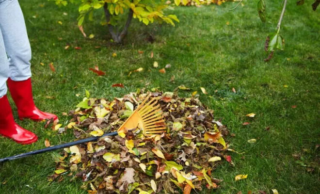 Évacuation de déchets verts, Barbezieux-Saint-Hilaire, PASSION FLEUR ET GAZON