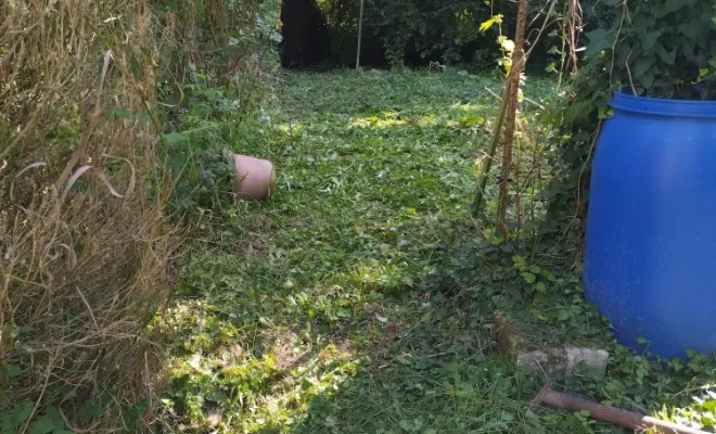 Entretien de parcs et jardins , Barbezieux-Saint-Hilaire, PASSION FLEUR ET GAZON
