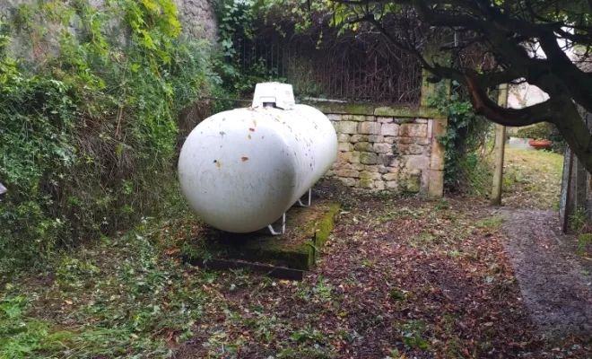 Taille et nettoyage à roullet-saint-estèphe , Barbezieux-Saint-Hilaire, PASSION FLEUR ET GAZON