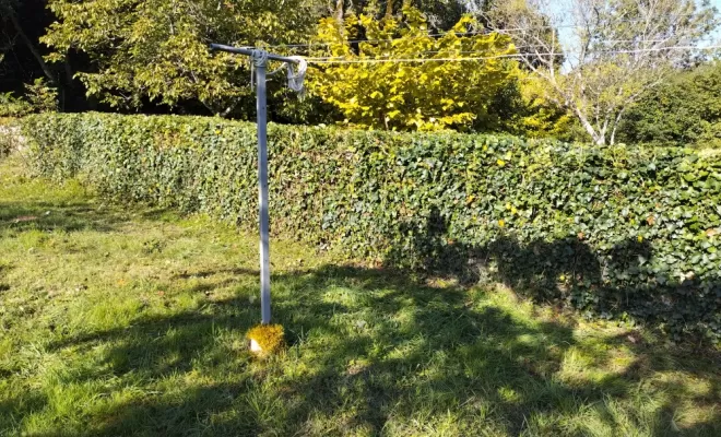 Taille de lierre , Barbezieux-Saint-Hilaire, PASSION FLEUR ET GAZON