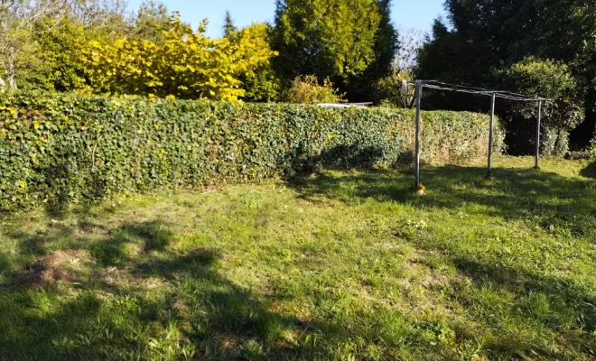 Taille de lierre , Barbezieux-Saint-Hilaire, PASSION FLEUR ET GAZON