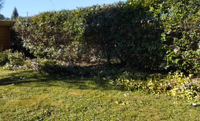 Taille et entretien d'arbres , Barbezieux-Saint-Hilaire, PASSION FLEUR ET GAZON